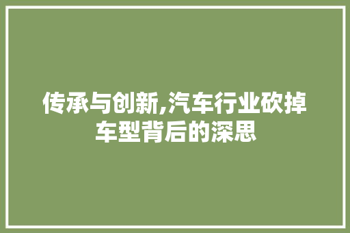 传承与创新,汽车行业砍掉车型背后的深思