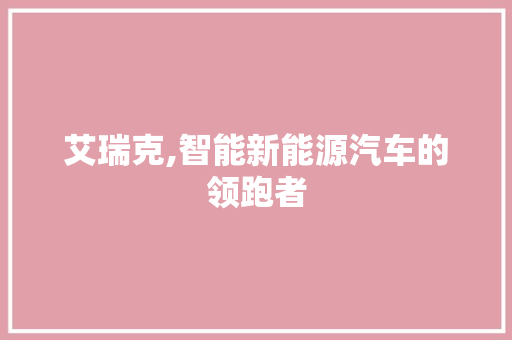 艾瑞克,智能新能源汽车的领跑者