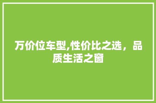 万价位车型,性价比之选，品质生活之窗