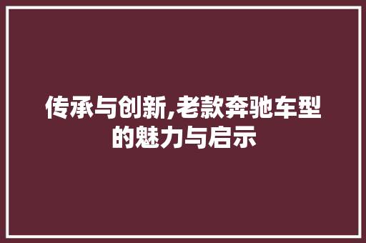 传承与创新,老款奔驰车型的魅力与启示 车灯配件