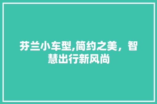 芬兰小车型,简约之美，智慧出行新风尚