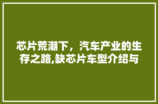 芯片荒潮下，汽车产业的生存之路,缺芯片车型介绍与应对步骤