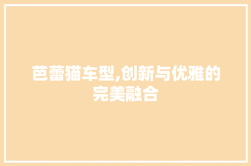 芭蕾猫车型,创新与优雅的完美融合 蓄电池配件