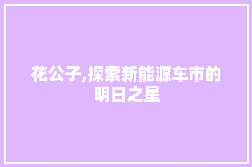 花公子,探索新能源车市的明日之星