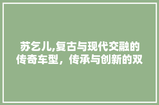 苏乞儿,复古与现代交融的传奇车型，传承与创新的双刃剑