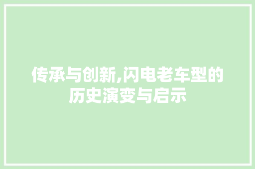 传承与创新,闪电老车型的历史演变与启示