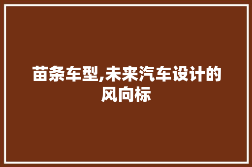 苗条车型,未来汽车设计的风向标