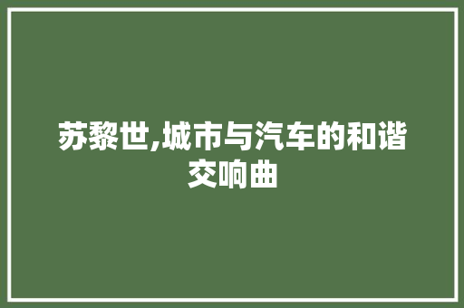 苏黎世,城市与汽车的和谐交响曲