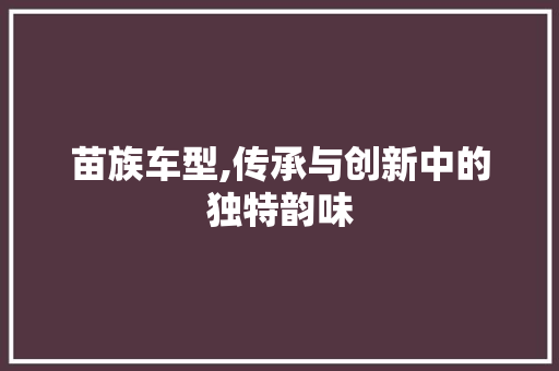 苗族车型,传承与创新中的独特韵味