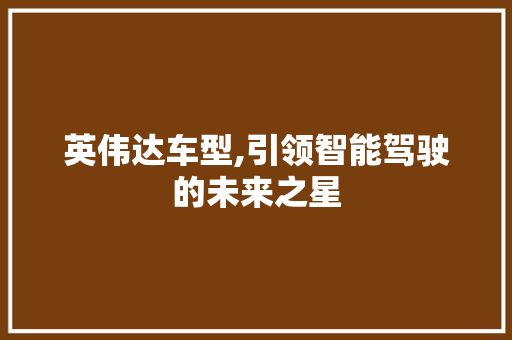 英伟达车型,引领智能驾驶的未来之星