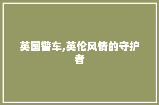 英国警车,英伦风情的守护者