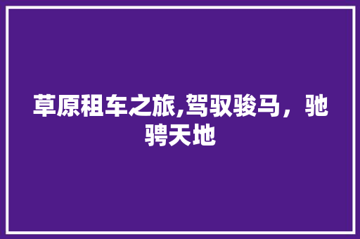 草原租车之旅,驾驭骏马，驰骋天地