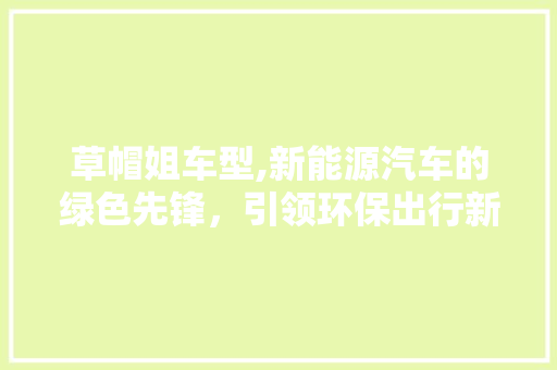 草帽姐车型,新能源汽车的绿色先锋，引领环保出行新风尚