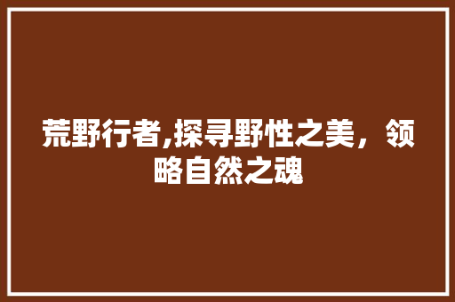 荒野行者,探寻野性之美，领略自然之魂