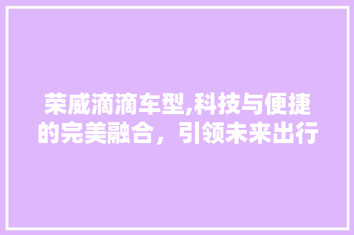 荣威滴滴车型,科技与便捷的完美融合，引领未来出行新潮流