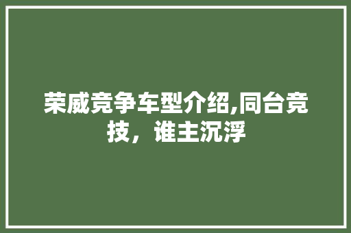 荣威竞争车型介绍,同台竞技，谁主沉浮