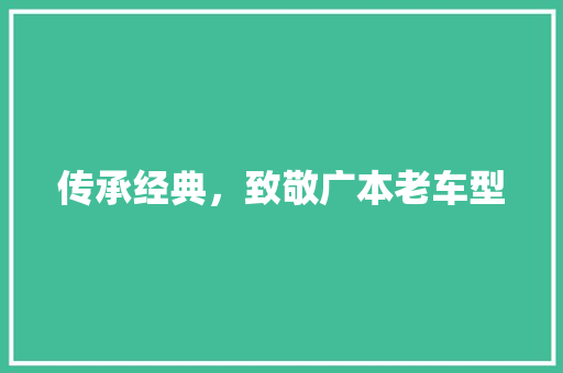 传承经典，致敬广本老车型 变速箱配件
