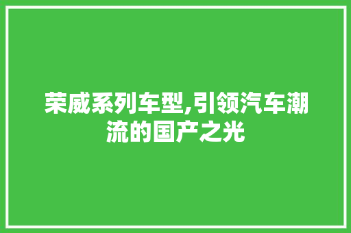 荣威系列车型,引领汽车潮流的国产之光