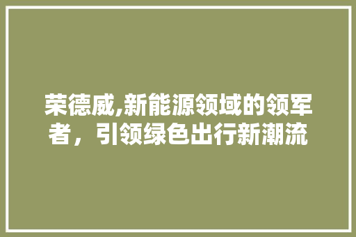荣德威,新能源领域的领军者，引领绿色出行新潮流