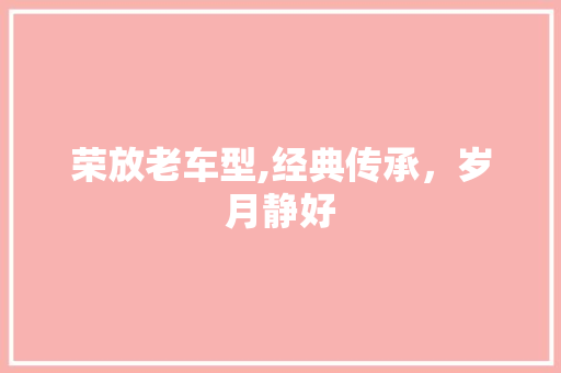 荣放老车型,经典传承，岁月静好