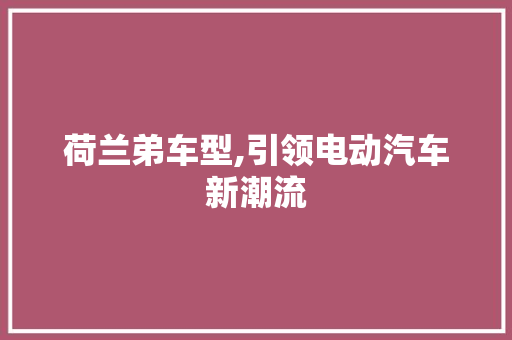 荷兰弟车型,引领电动汽车新潮流