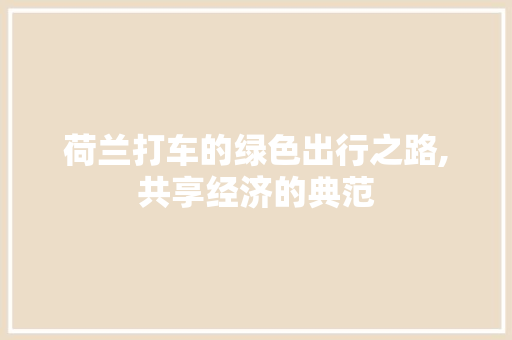 荷兰打车的绿色出行之路,共享经济的典范