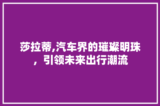 莎拉蒂,汽车界的璀璨明珠，引领未来出行潮流