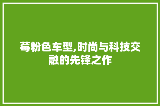 莓粉色车型,时尚与科技交融的先锋之作