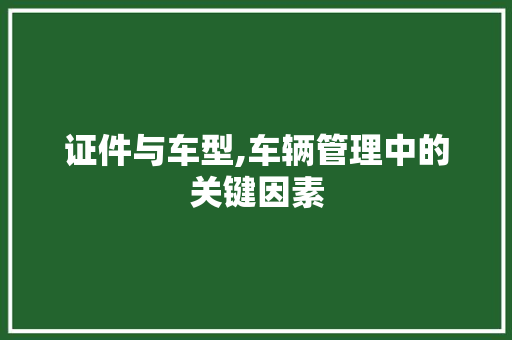 证件与车型,车辆管理中的关键因素 蓄电池配件