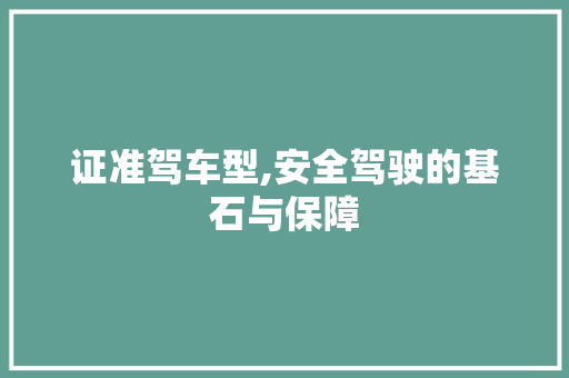 证准驾车型,安全驾驶的基石与保障