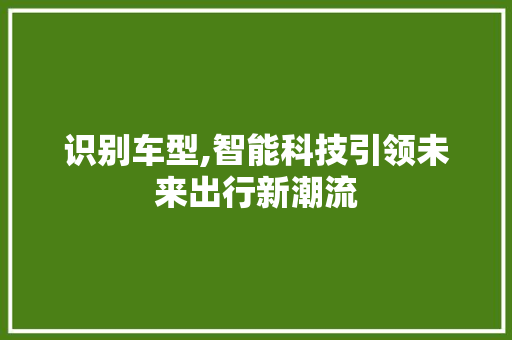 识别车型,智能科技引领未来出行新潮流