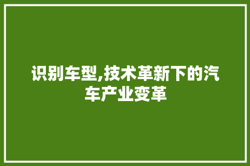 识别车型,技术革新下的汽车产业变革