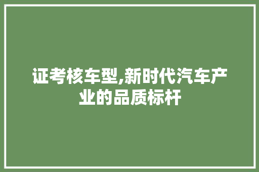 证考核车型,新时代汽车产业的品质标杆