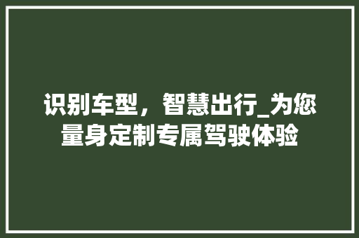 识别车型，智慧出行_为您量身定制专属驾驶体验