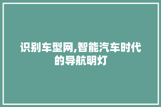 识别车型网,智能汽车时代的导航明灯