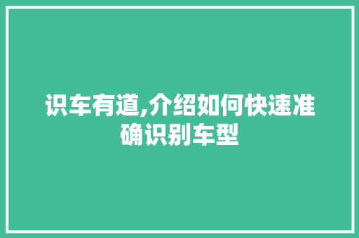 识车有道,介绍如何快速准确识别车型 车身配件