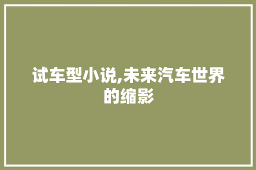 试车型小说,未来汽车世界的缩影
