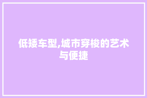 低矮车型,城市穿梭的艺术与便捷
