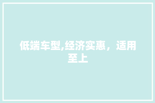低端车型,经济实惠，适用至上