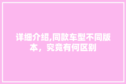 详细介绍,同款车型不同版本，究竟有何区别
