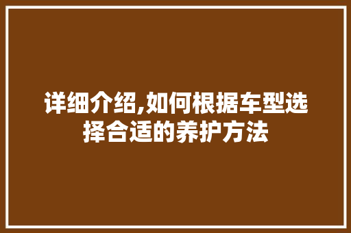 详细介绍,如何根据车型选择合适的养护方法