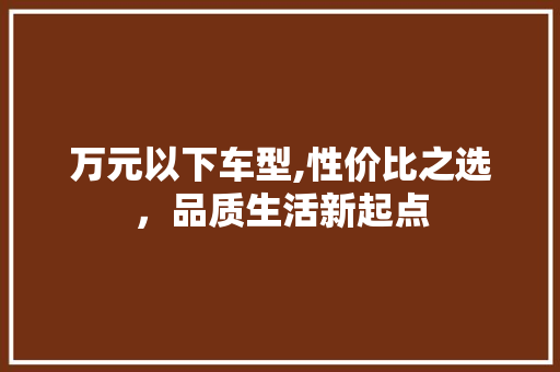 万元以下车型,性价比之选，品质生活新起点