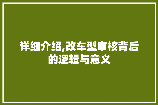 详细介绍,改车型审核背后的逻辑与意义