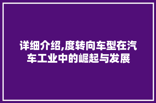 详细介绍,度转向车型在汽车工业中的崛起与发展