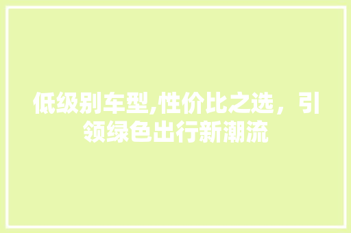 低级别车型,性价比之选，引领绿色出行新潮流