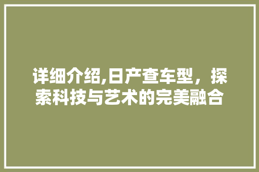 详细介绍,日产查车型，探索科技与艺术的完美融合