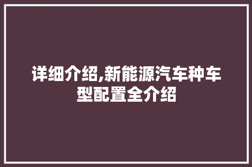 详细介绍,新能源汽车种车型配置全介绍