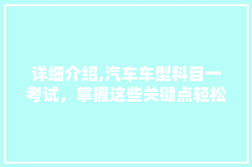 详细介绍,汽车车型科目一考试，掌握这些关键点轻松过关