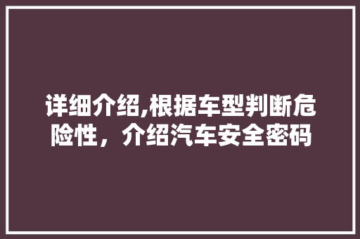 详细介绍,根据车型判断危险性，介绍汽车安全密码