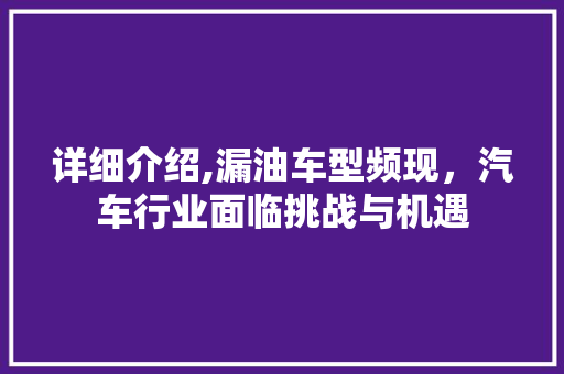 详细介绍,漏油车型频现，汽车行业面临挑战与机遇